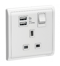 13A 1G Sw Socket with 2.1A USB ,WE